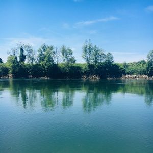 Meet your Posher, Ella